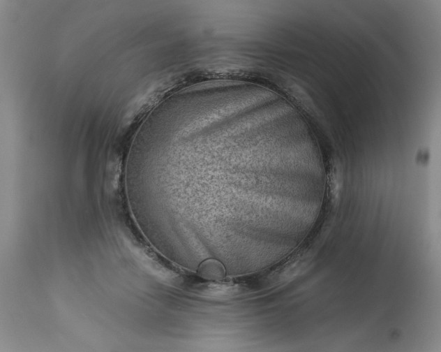 X0000113590458200910021721