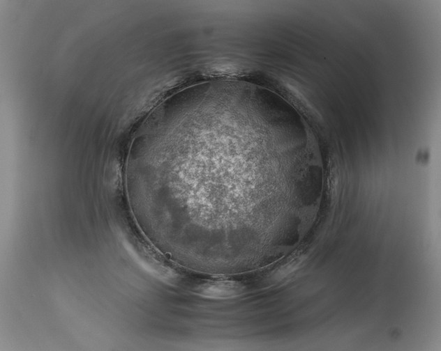 X0000113590459200910021721