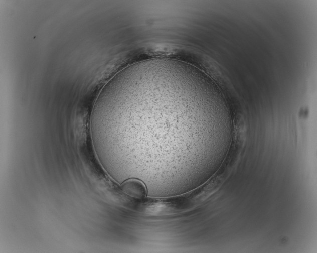 X0000113590460200910021721