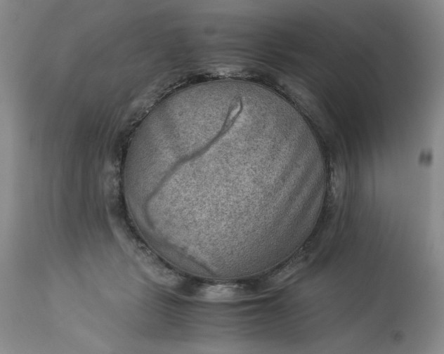 X0000113590461200910021721