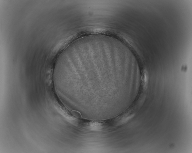 X0000113590462200910021721