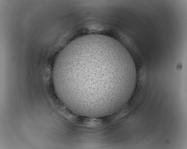 X0000113590463200910021721