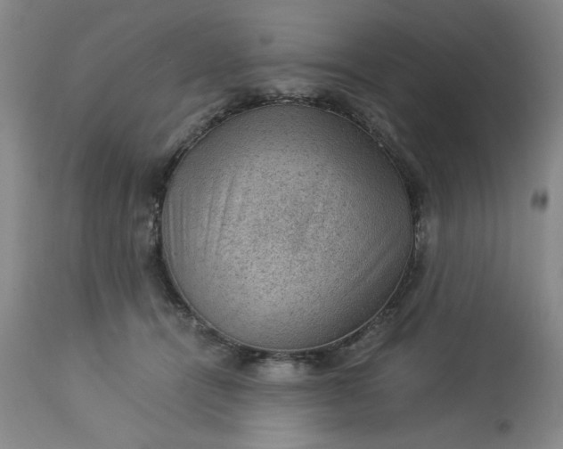 X0000113590464200910021721