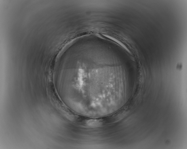 X0000113590465200910021721