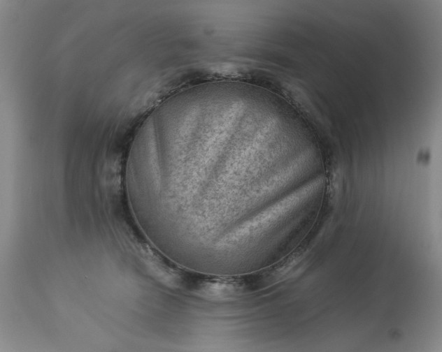 X0000113590466200910021721