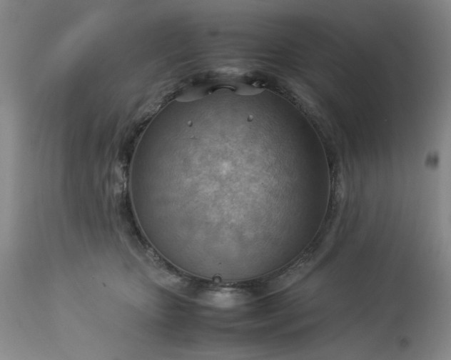 X0000113590467200910021721