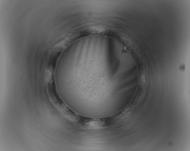 X0000113590468200910021722