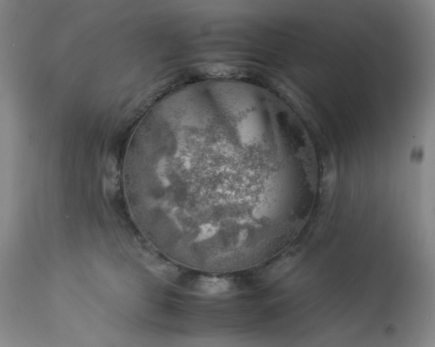 X0000113590469200910021722