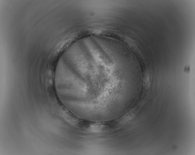 X0000113590470200910021722