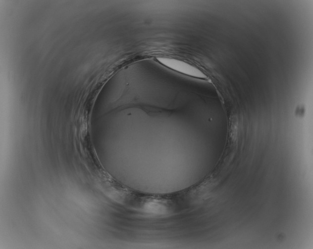 X0000113590471200910021722