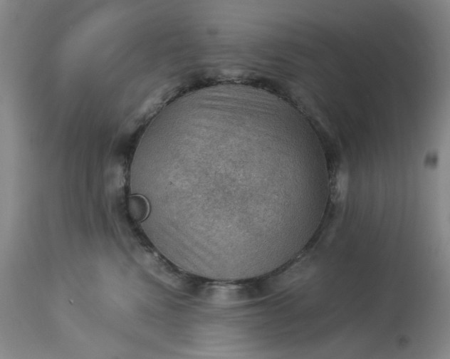 X0000113590472200910021722