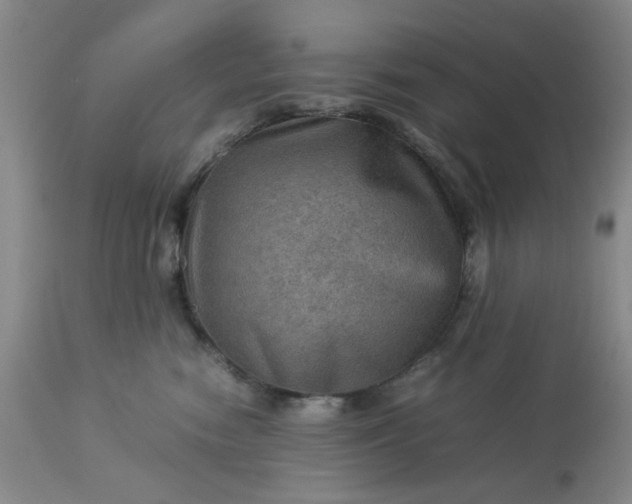 X0000113590474200910021722