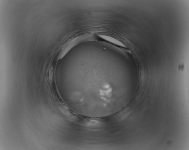 X0000113590475200910021722