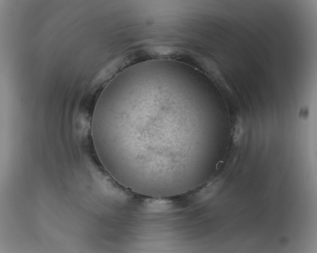 X0000113590476200910021722