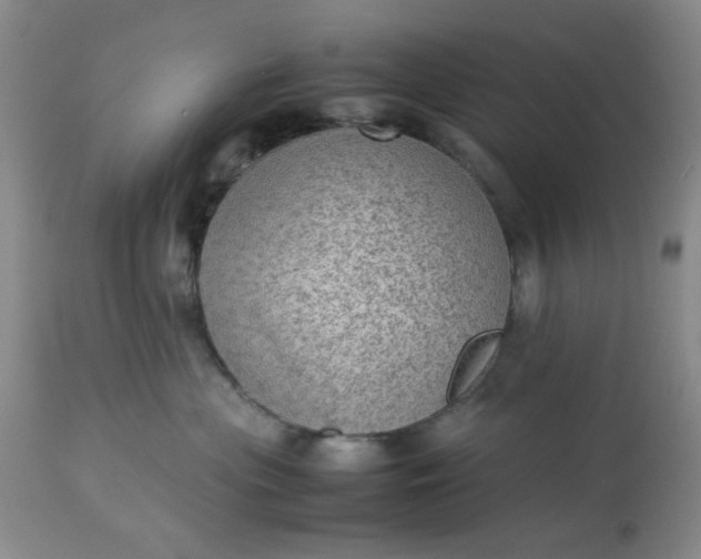 X0000113590477200910021722