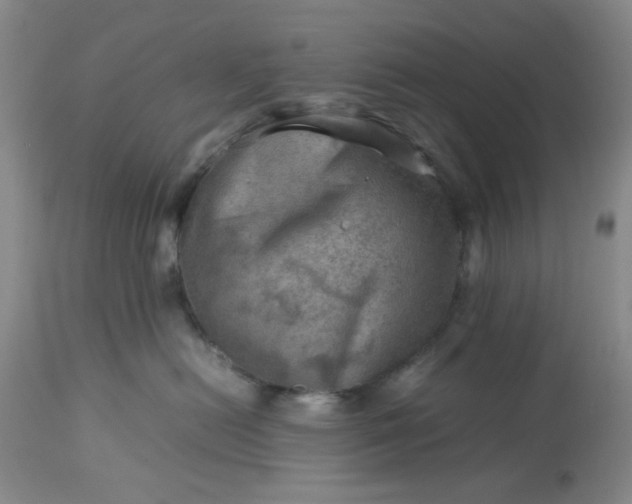 X0000113590478200910021722