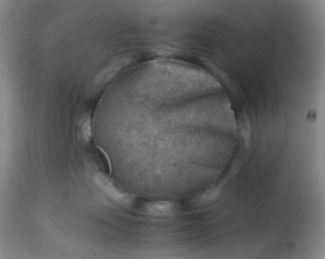 X0000113590479200910021722