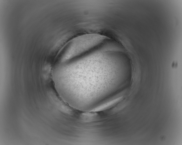 X0000113590480200910021722