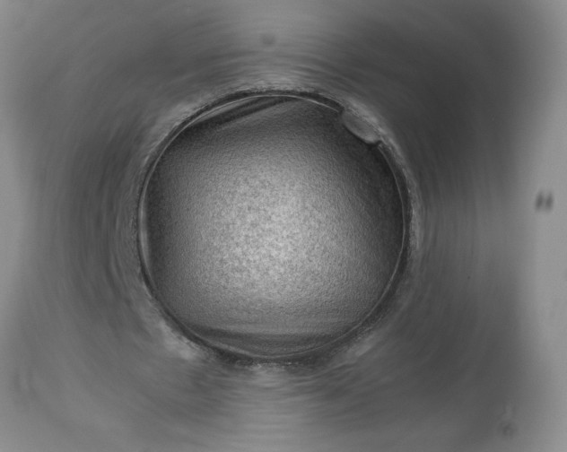 X0000113590481200910021721