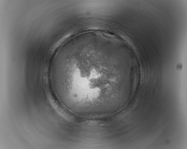 X0000113590482200910021721