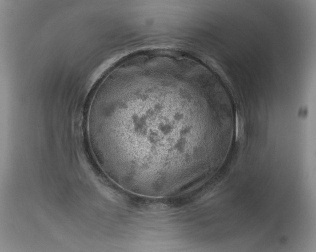 X0000113590483200910021721