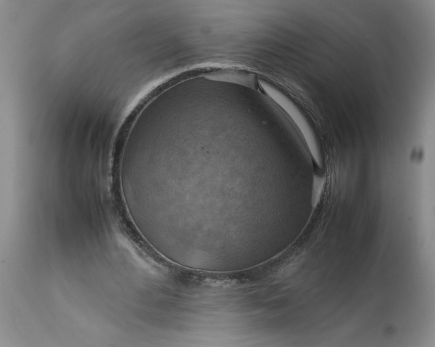 X0000113590484200910021721