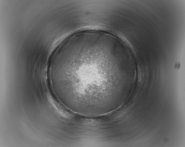 X0000113590486200910021721