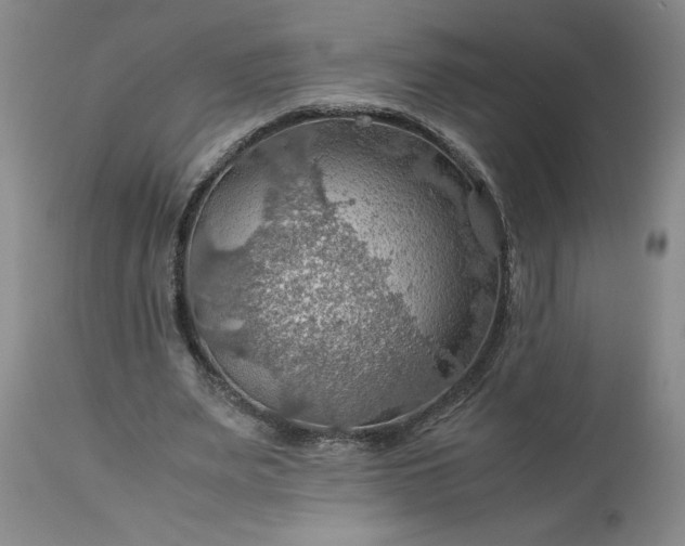 X0000113590487200910021721