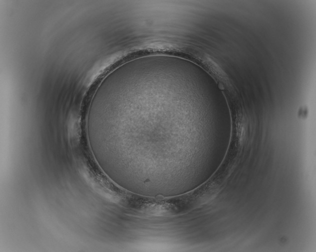 X0000113590488200910021721