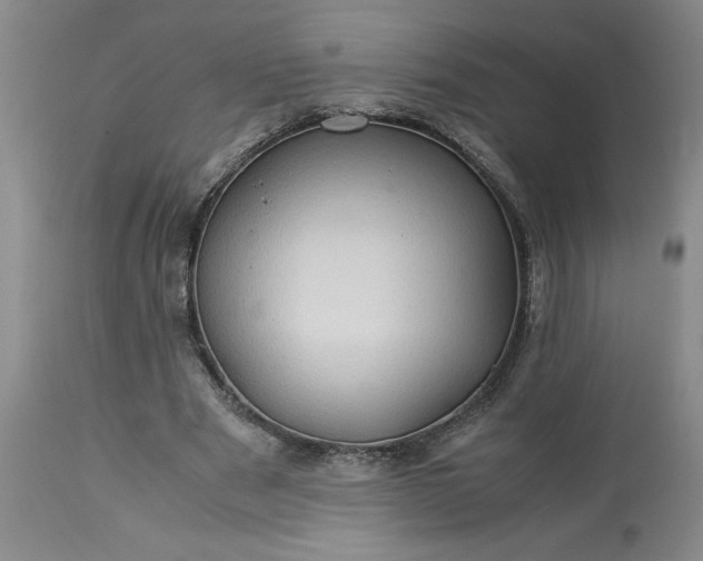 X0000113590489200910021721