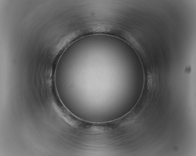 X0000113590490200910021721