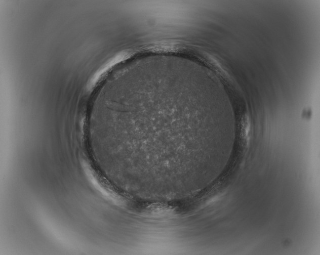 X0000113590491200910021721