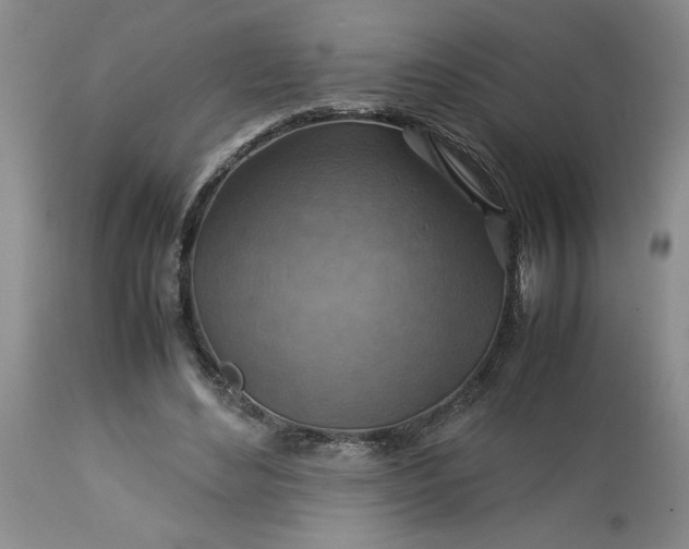 X0000113590492200910021721