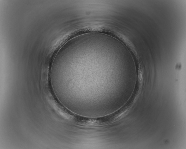 X0000113590493200910021721