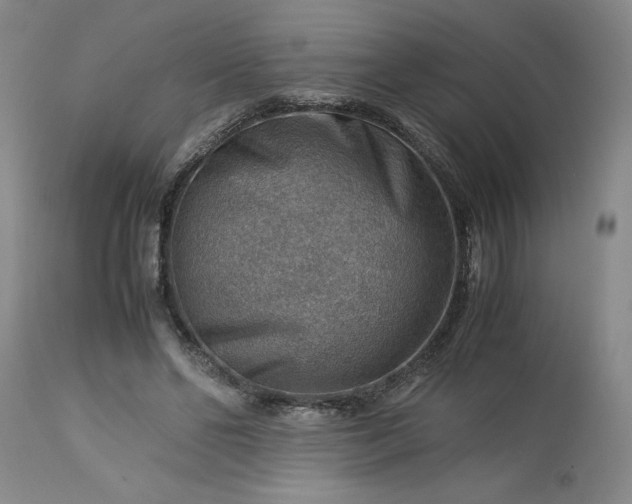 X0000113590494200910021721