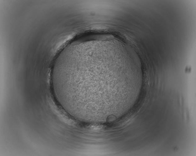 X0000113590495200910021721