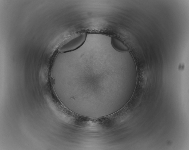 X0000113590496200910021721