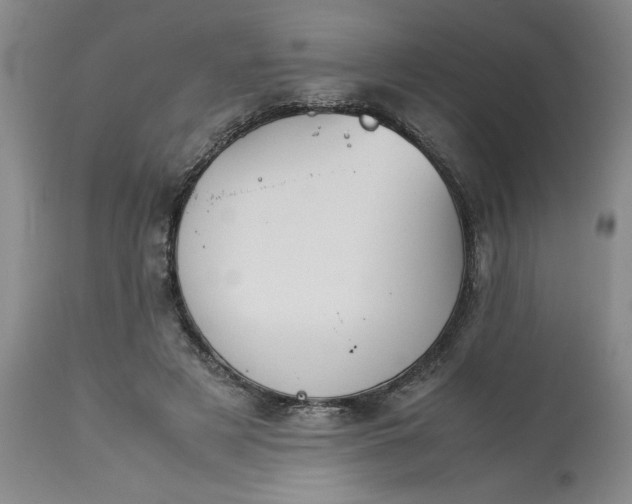 X0000113590497200910021721