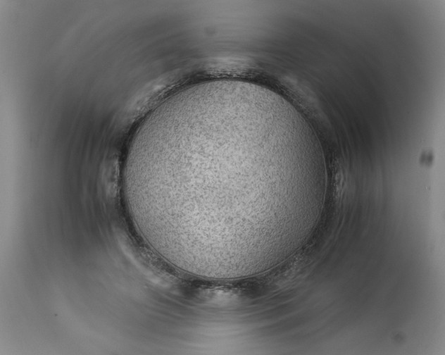 X0000113590498200910021721