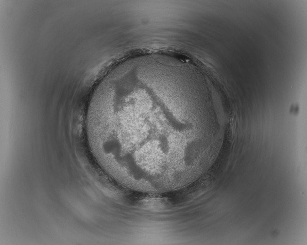 X0000113590499200910021721