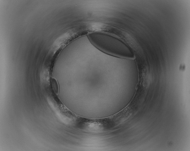 X0000113590500200910021721