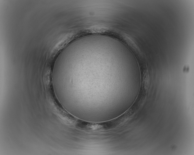 X0000113590501200910021721