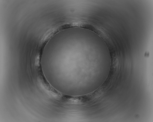 X0000113590502200910021721