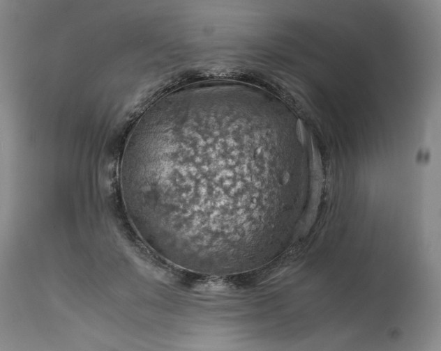 X0000113590503200910021721