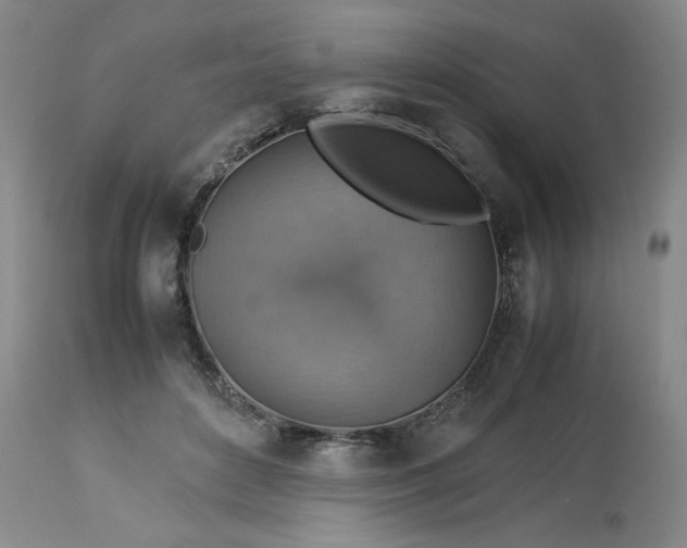 X0000113590504200910021721