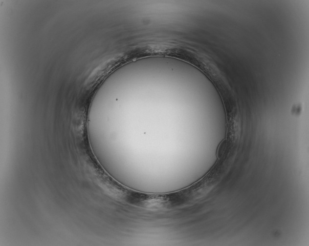 X0000113590505200910021721