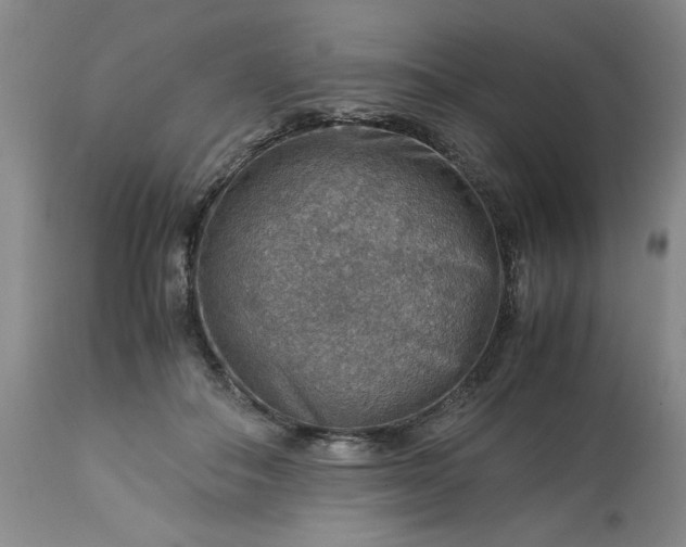 X0000113590506200910021721