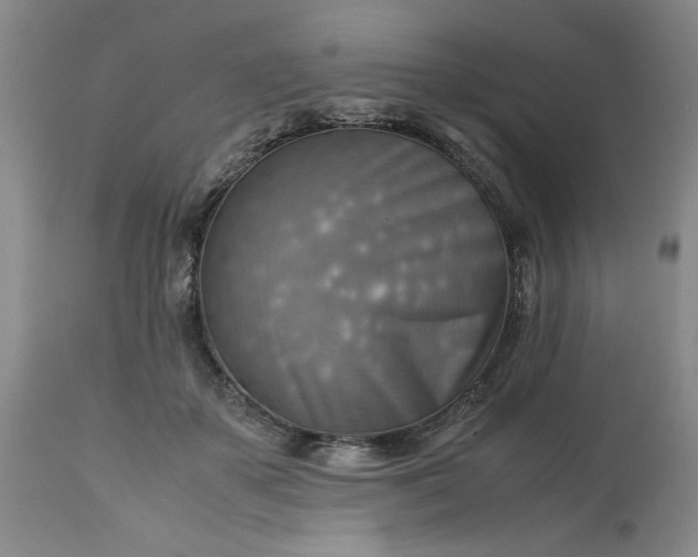 X0000113590507200910021721