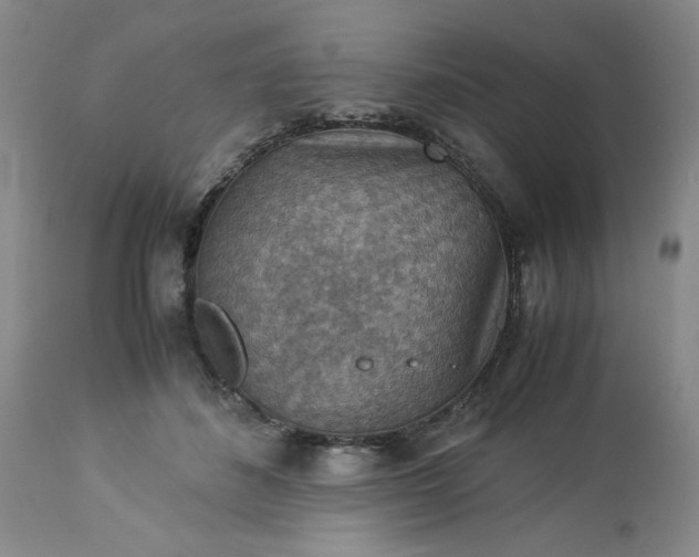 X0000113590508200910021721