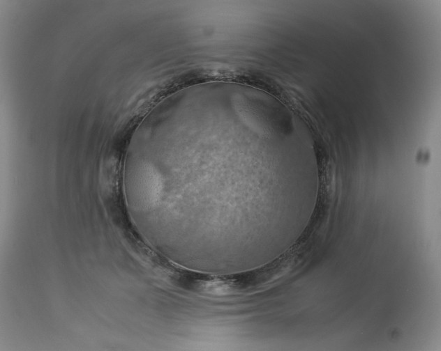 X0000113590511200910021721